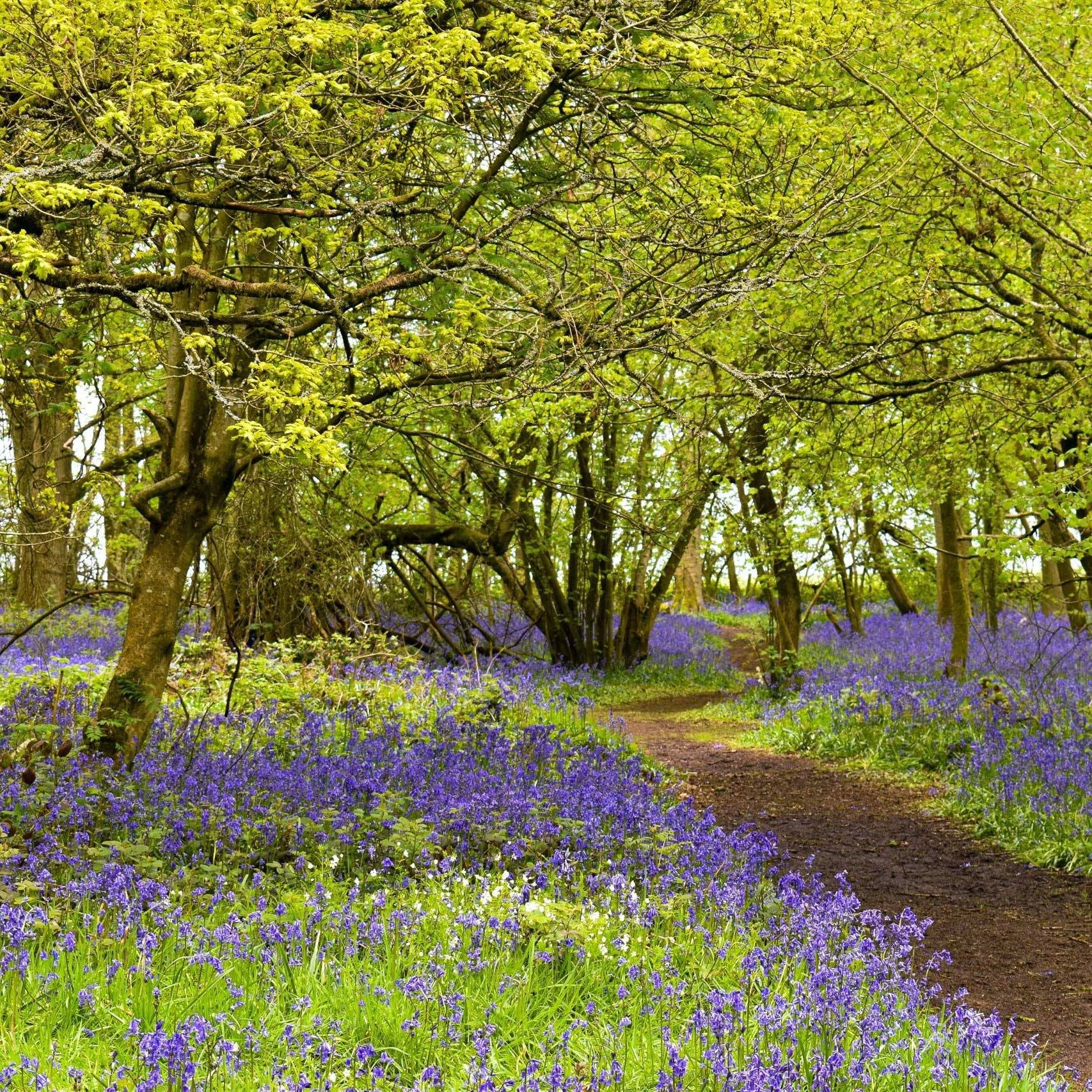 Immune Disorders- Changes in the Seasons