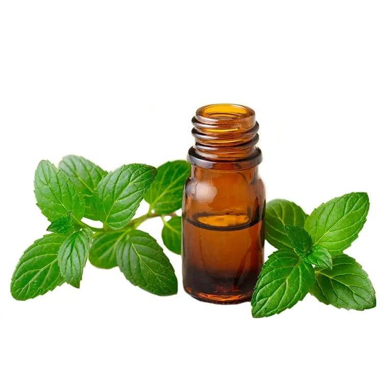 essential oil bottle