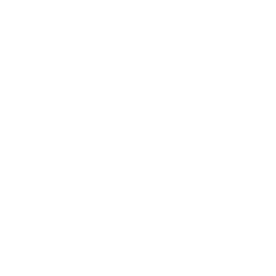 Increases Insulin Sensitivity