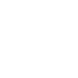 Memory Loss & Brain Fog