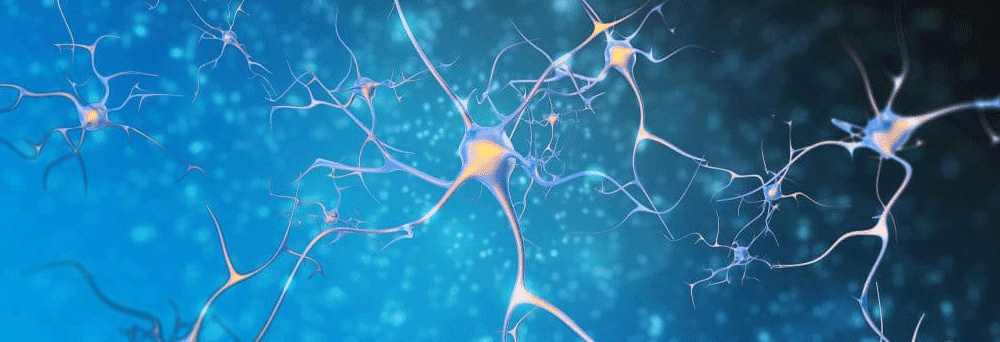 Glowing interconnected neurons against a blue background, symbolizing brain activity and natural supplements.