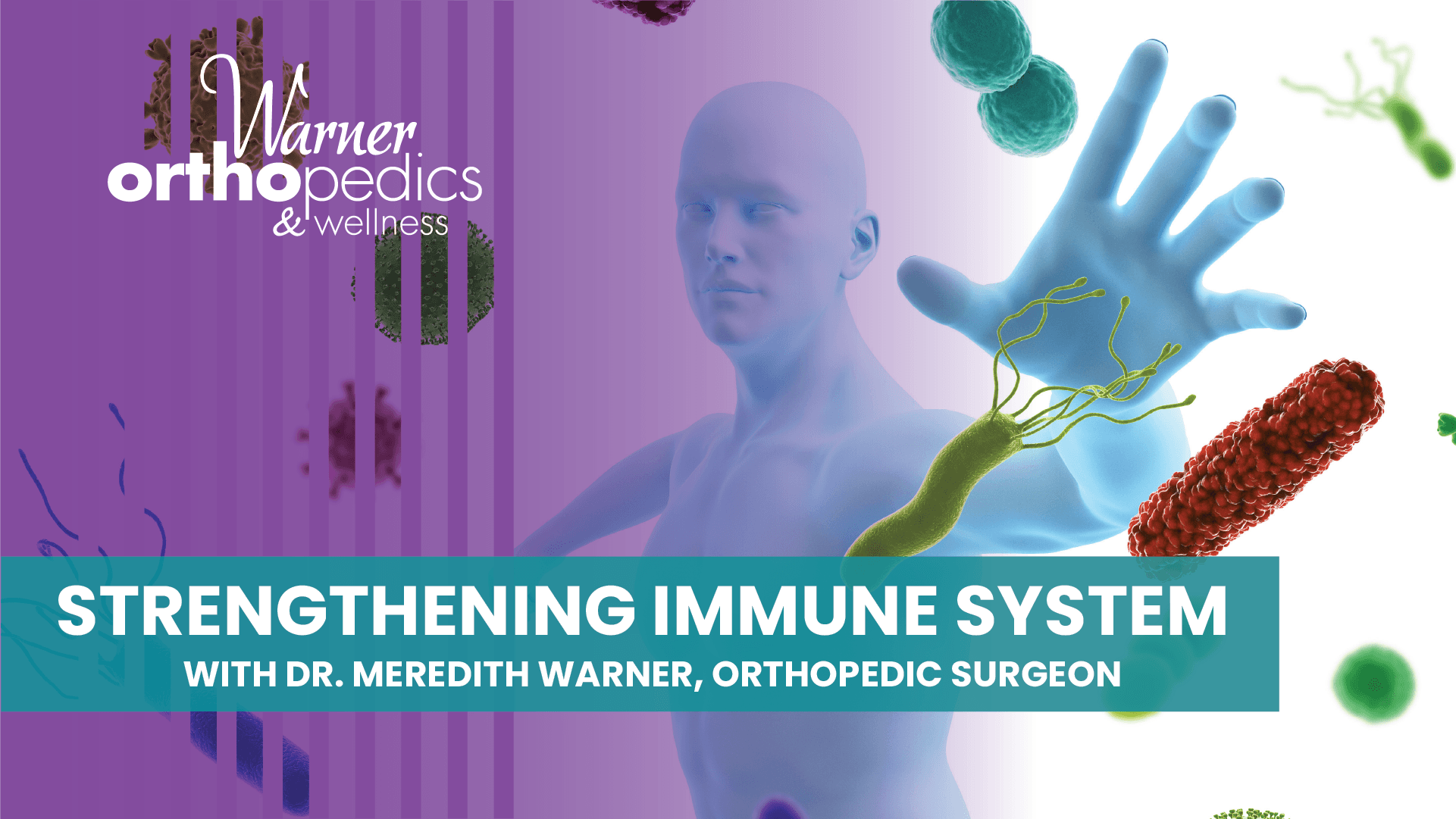 A blue figure blocks germs, showing immune strength with surgeon-formulated supplements by Dr. Meredith Warner.