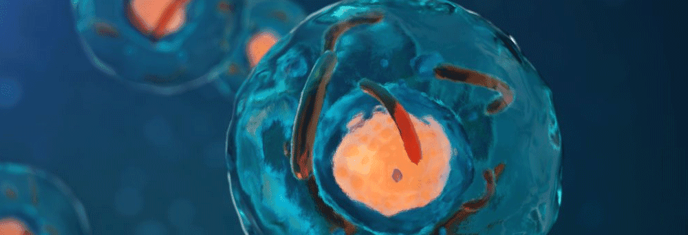 Close-up of a blue cell with visible organelles and an orange nucleus, inspired by natural supplements.