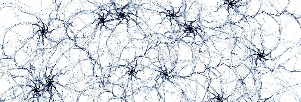 Abstract neural network with dark branching lines, inspired by neuron connections and natural wellness themes.