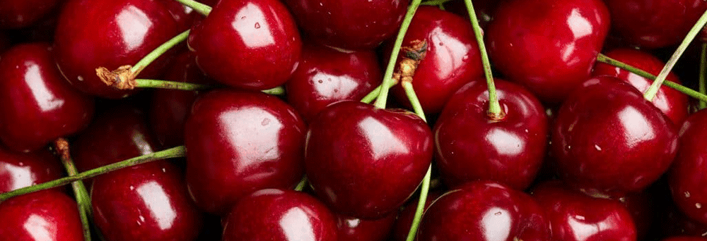 Close-up of fresh, vibrant red cherries filling the frame.
