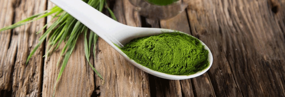 A white ceramic spoon with green powder rests on a wooden surface, surrounded by grass-like leaves.