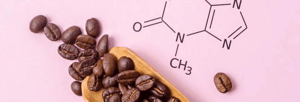 Coffee beans on a wooden scoop beside a caffeine diagram on a light pink background.