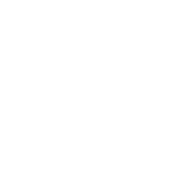 Brain Fog